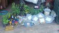 Cuatro detenidos por robar luces led del alumbrado público y usarlas para su vivero de marihuana