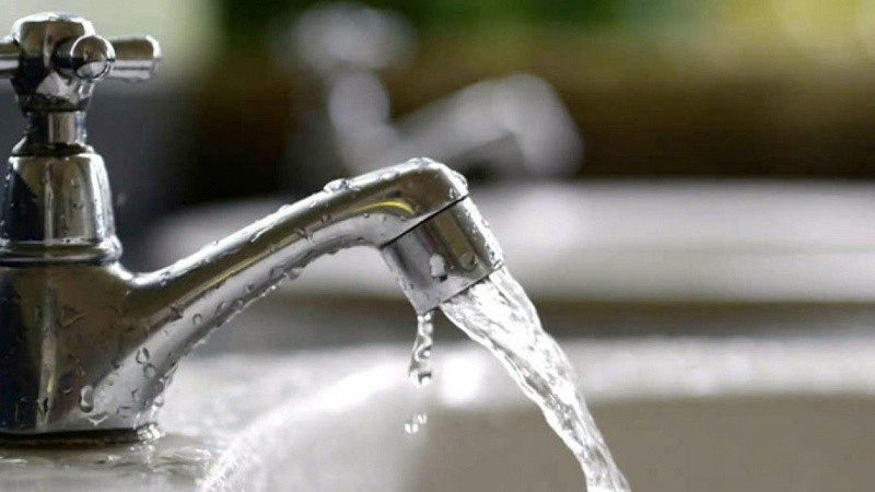 La principal vía de transmisión de la fiebre tifoidea es la fecal-oral: la bacteria se propaga a través de la ingesta de alimentos o agua que fueron contaminados.
