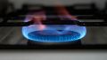 Frío extremo: para que no falte gas en hogares, cortan el suministro a grandes empresas