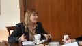 Reforma constitucional: también los defensores quieren ser un “extrapoder”